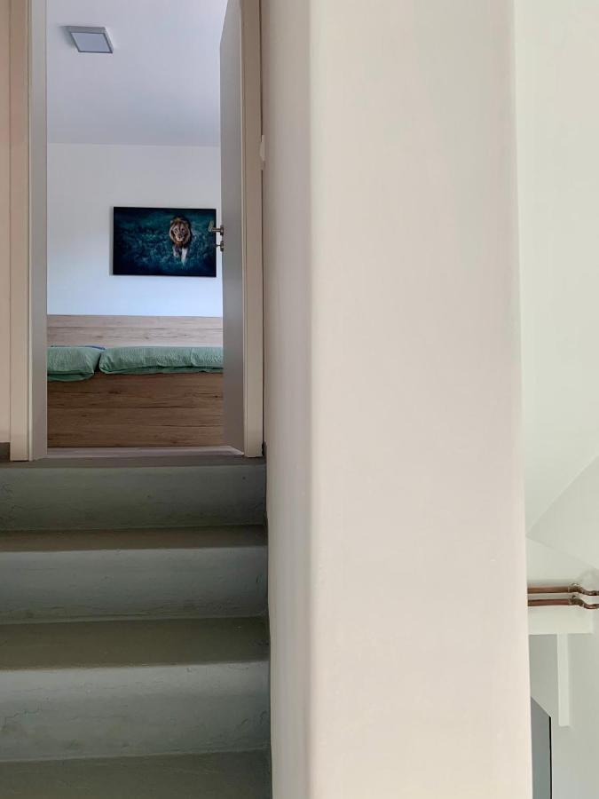 Rooms Optim Ptuj Dış mekan fotoğraf