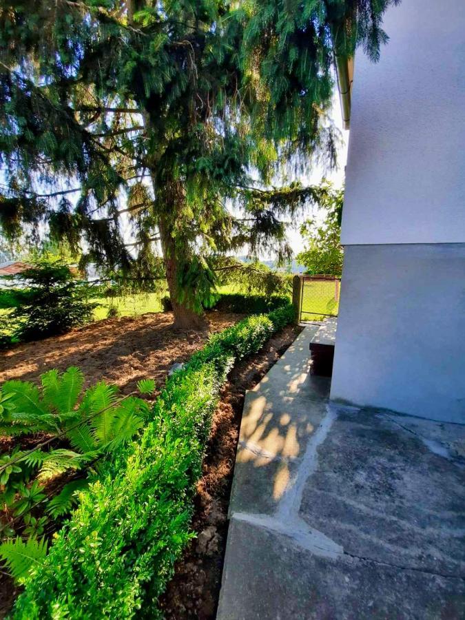 Rooms Optim Ptuj Dış mekan fotoğraf